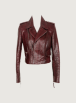Biker Jacket 1
