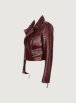 Biker Jacket 2